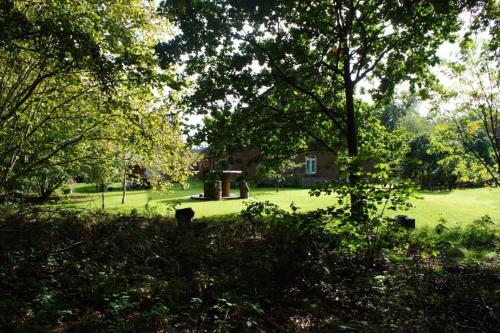 a park with trees and a house in the distance at Kreativ-Kate in Kranenburg