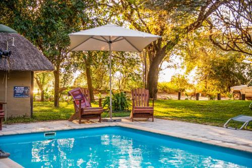- deux chaises et un parasol à côté de la piscine dans l'établissement Zambezi Mubala Campsite, à Katima Mulilo
