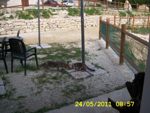 Φωτογραφία από το άλμπουμ του Country House Antiche Dimore σε Abbateggio