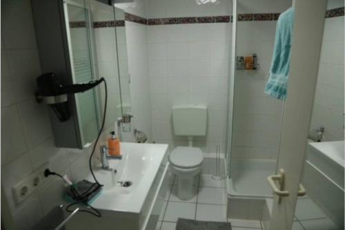 e bagno con lavandino, servizi igienici e doccia. di Modernes Apartment in Leichlingen a Leichlingen