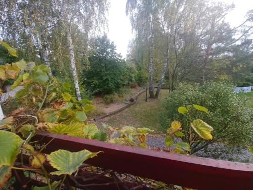 a garden with plants and trees in the background at Dąbrowski in Nadarzyn