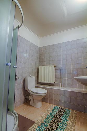 a bathroom with a toilet and a sink at Pension Ivanka in Jestrabi V Krkonosich