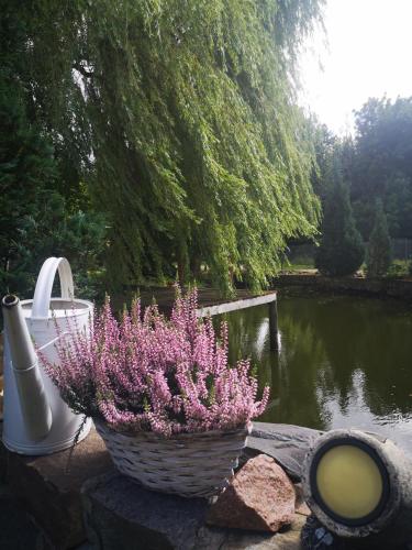a basket of purple flowers next to a pond at Dom wczasowy Rychertówka in Grzebieniec