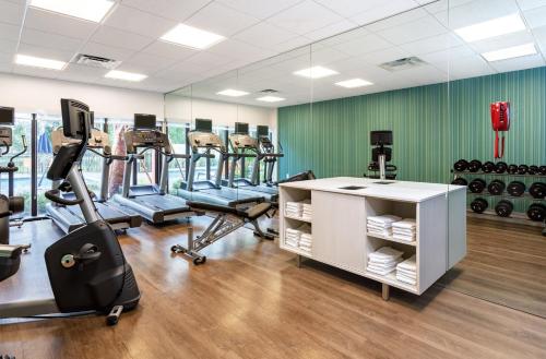 a gym with several exercise equipment in a room at Holiday Inn Express Tampa-Brandon by IHG in Brandon