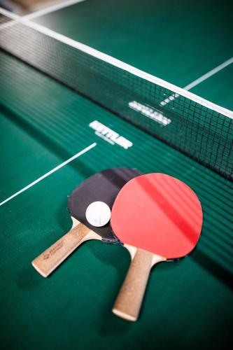 a ping pong racket and a ball on a court at Wallner - Hotel & Wirt in Arnoldstein