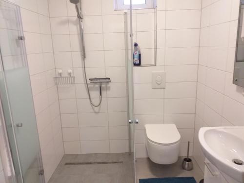a bathroom with a shower with a toilet and a sink at Lutzes Ferienhaus in Knittelsheim