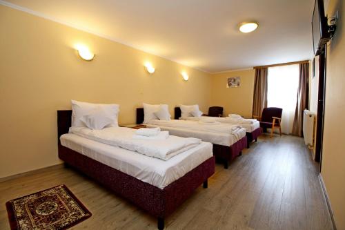a hotel room with two beds and a window at Pensiunea Nelu & Klein in Sibiu