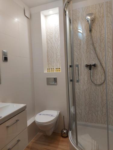 a bathroom with a shower and a toilet at Apartamenty Willa Atena in Świnoujście