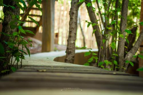 a walkway with trees and plants in a building at Posada Nuuna Mazunte in Mazunte