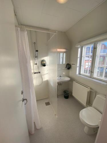 a bathroom with a shower and a toilet and a sink at Hotel Disko Island in Qeqertarsuaq