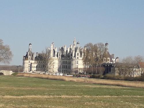 un grand bâtiment avec une pelouse devant lui dans l'établissement Gîte du Moulin Béchereau, à Mer