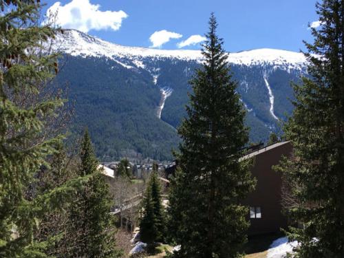 Spruce Lodge – Photos 3