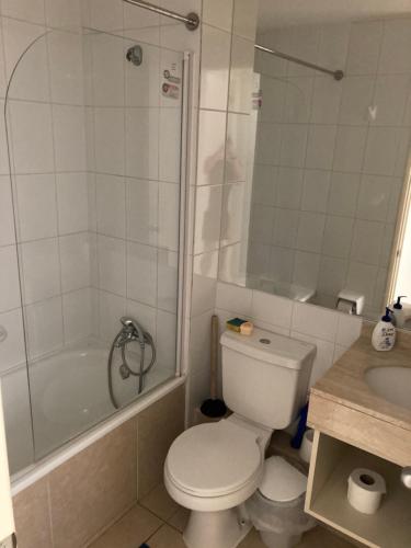 a bathroom with a toilet and a shower and a sink at Departamento Laguna Bahia in Algarrobo