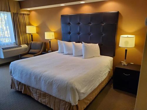 a large bed with a large headboard in a hotel room at Best Western The Westerly Hotel in Courtenay