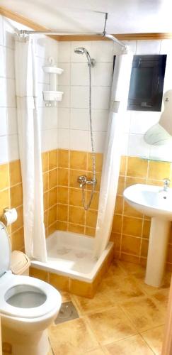 a bathroom with a shower and a toilet and a sink at Stone Chalets in Fārayyā