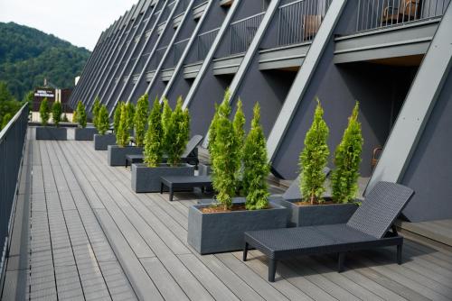 a row of potted trees on the roof of a building at Sanatorium Budowlani Szczawnica in Szczawnica