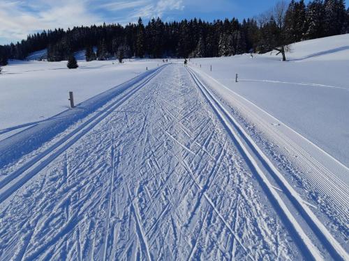 a snow covered road with tracks in the snow at Apartmány Kůlna in Boží Dar