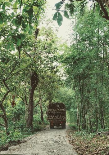 a truck driving down a dirt road through a forest at Beyond Eco Living in Munnar