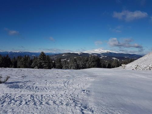 a snow covered field with trees and mountains in the background at Ferienhaus Murmeltier am Klippitztörl in Klippitztorl