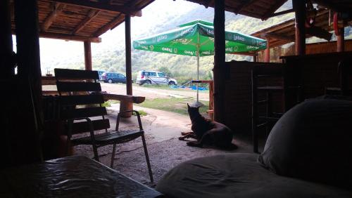Gallery image of Bungalows Ivona in Bastasi