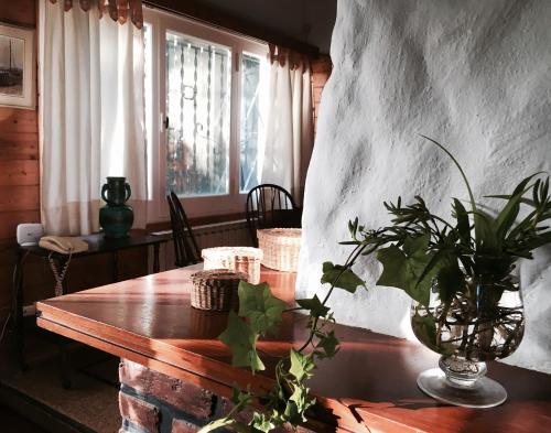 ein Esszimmer mit einem Holztisch mit Pflanzen darauf in der Unterkunft Cruz del Sur in Pinamar