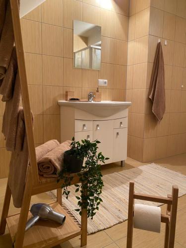 a bathroom with a sink and a mirror at Peledos troba in Žiūrai