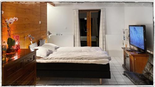 1 dormitorio con 1 cama y TV de pantalla plana en Bergvegen Guesthouse Aalesund, en Ålesund
