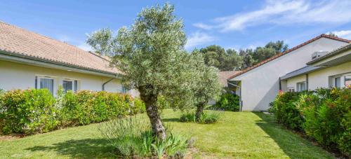 a tree in the yard of a house at Kyriad Résidence Cabriès - Plan de Campagne in Cabriès