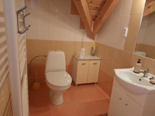 a bathroom with a toilet and a sink at Novohradský ráj aneb Oáza klidu na samotě u lesa in Benešov nad Černou