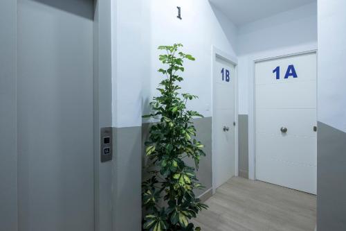 ALOJA2 APARTAMENTOS, Granada – Bijgewerkte prijzen 2022