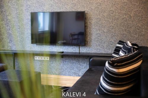 a living room with a couch and a flat screen tv at City Center Turu str apartments, parking, Tartu Home in Tartu