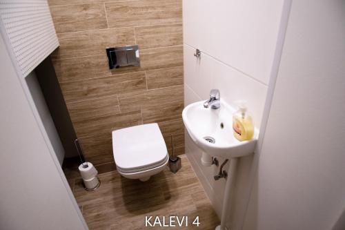 a small bathroom with a toilet and a sink at City Center Turu str apartments, parking, Tartu Home in Tartu