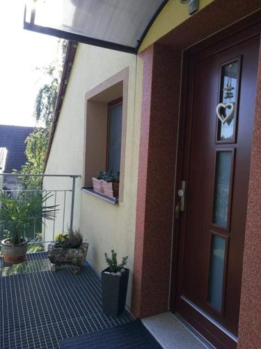 a front door of a house with potted plants on it at Ubytování U Špačků Pálava in Novosedly