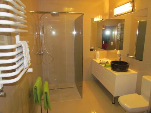 a bathroom with a shower and a sink and a toilet at Mrągowo Apartament Lake & Ski in Mrągowo
