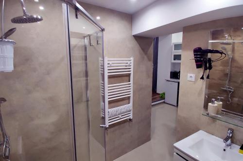een badkamer met een douche en een wastafel bij Stefan Center Apartment in Sibiu