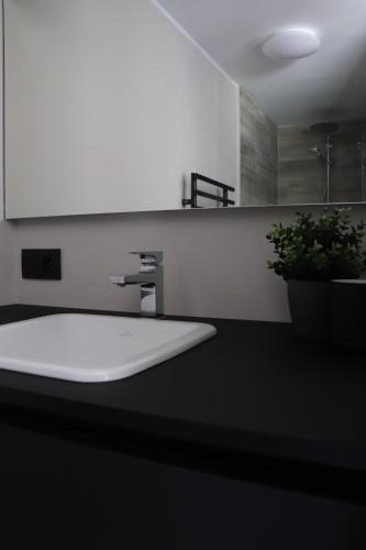 a bathroom with a sink and a plant on a counter at In Monte in Vresse-sur-Semois