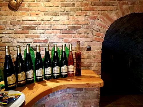 a bunch of bottles of wine sitting on a counter at Ubytování U Špačků Pálava in Novosedly