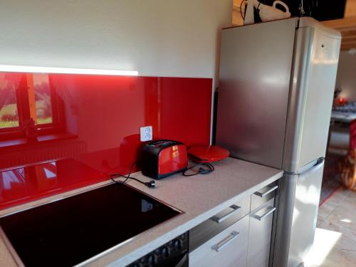 a kitchen with a refrigerator and a toaster on a counter at Novohradské hory - pronájem na samotě u lesa in Benešov nad Černou
