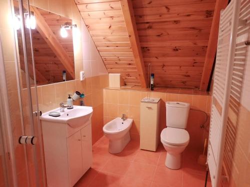 a bathroom with a toilet and a sink at Novohradky - Oáza klidu na samotě u lesa in Benešov nad Černou
