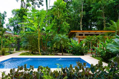 a swimming pool in the middle of a garden at La Paz del Caribe in Puerto Viejo