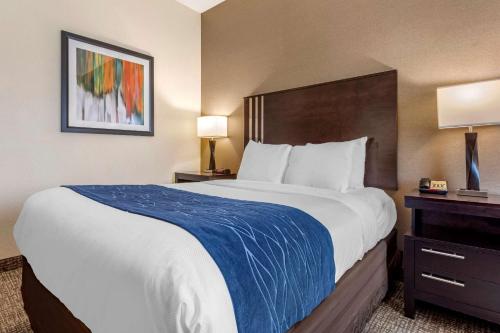a large bed in a hotel room with two lamps at Comfort Inn & Suites Butler in Butler