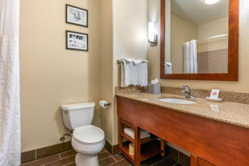 Kylpyhuone majoituspaikassa Comfort Inn & Suites Galt - Lodi North