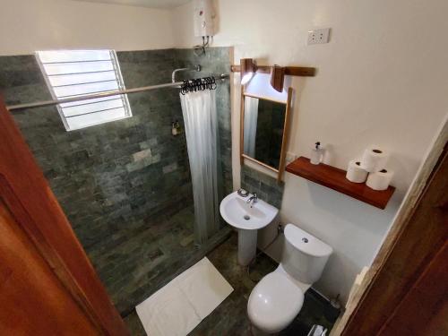 a bathroom with a shower and a toilet and a sink at Les Maisons D'Itac in Ronda