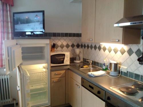 Gallery image of Appartement Hinterleiten in Wagrain