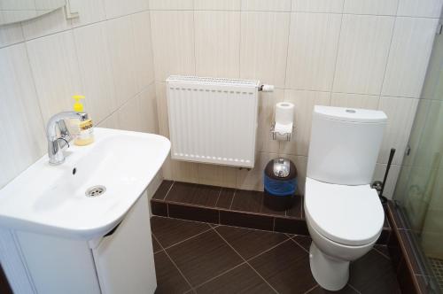 a bathroom with a white toilet and a sink at Rosinka in Ukrayinka