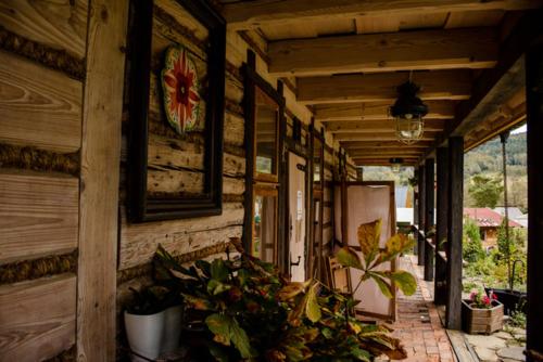 a porch of a house with plants on it at Chutor Grzegorza in Wysowa-Zdrój