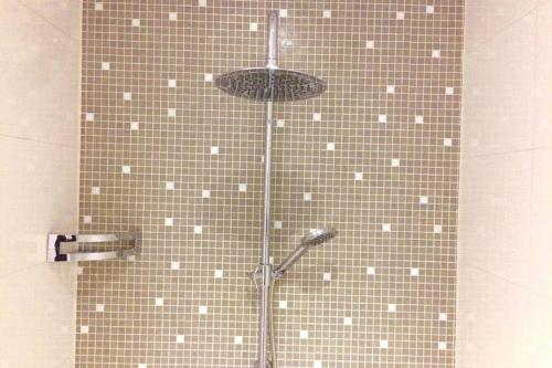 una ducha con cabezal de ducha en un baño en Elegantes Haus im Dresdner Süden, en Bannewitz