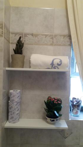 Un baño con estantes con toallas y una planta. en Balcone sul mare, en Monterosso al Mare