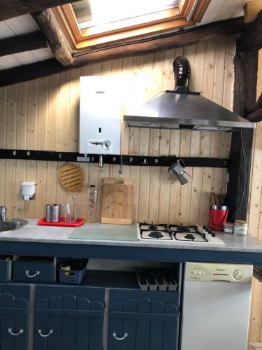 a kitchen with a stove and a counter top at IEDERA Casa de Familii 2 in Pianu de Sus
