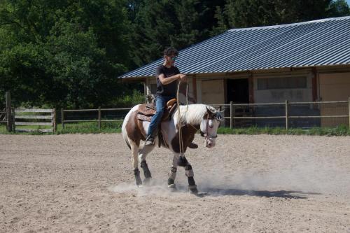 una persona che cavalca un cavallo in un'arena di La Ferme de la Maugerie a Thoury